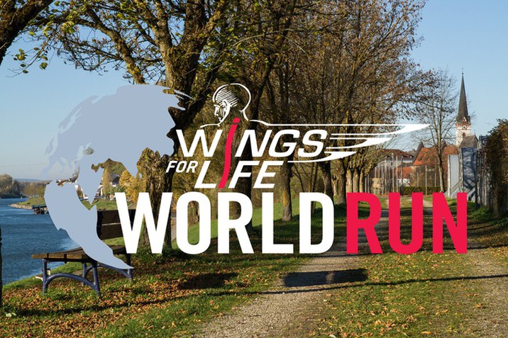 WingsforLife